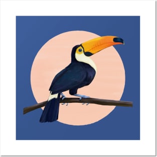 Toucan Posters and Art